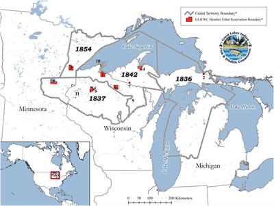 Ojibwe Perspectives Toward Proper Wolf Stewardship and Wisconsin’s February 2021 Wolf Hunting Season